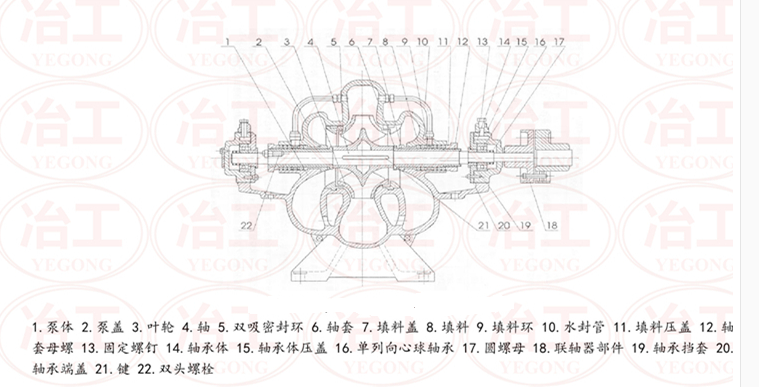 中開(kāi)泵結(jié)構(gòu)示意圖